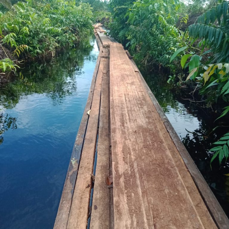 Perambahan Hutan Marak di Desa Sungai Linau Kecamatan Siak Kecil Kabupaten Bengkalis
