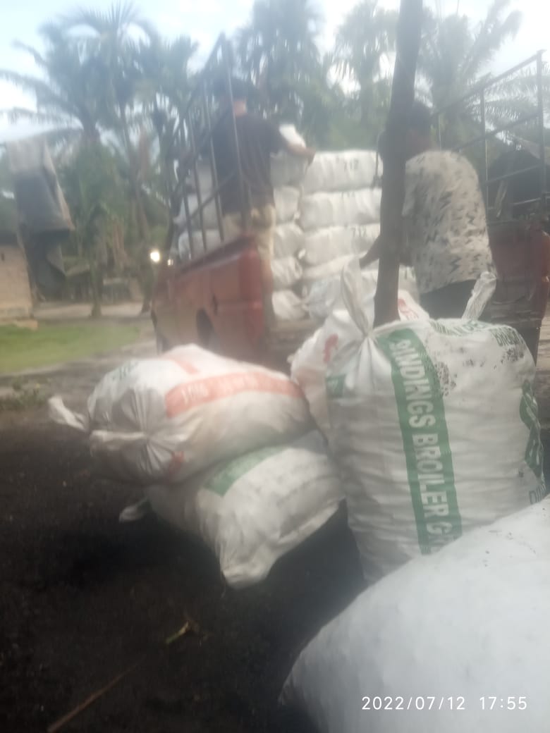 Pengusaha kayu arang di kecamatan Sungai sembilan Kota Dumai 