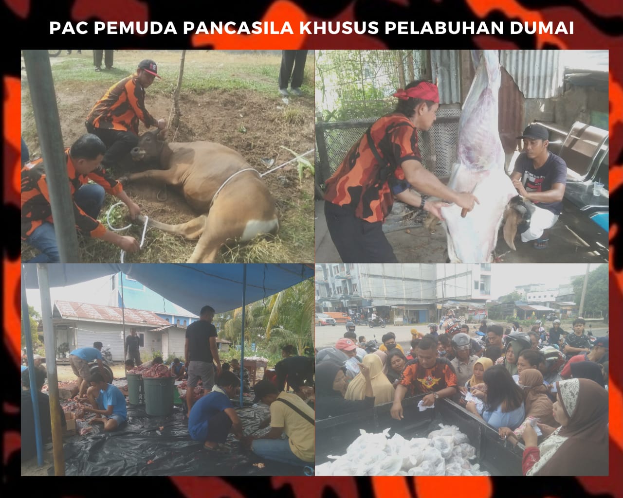 Laksanakan Amanah MPC Pemuda Pancasila Dumai, PAC Pemuda Pancasila  Khusus Pelabuhan Dumai Tebar 600 Paket Kurban 