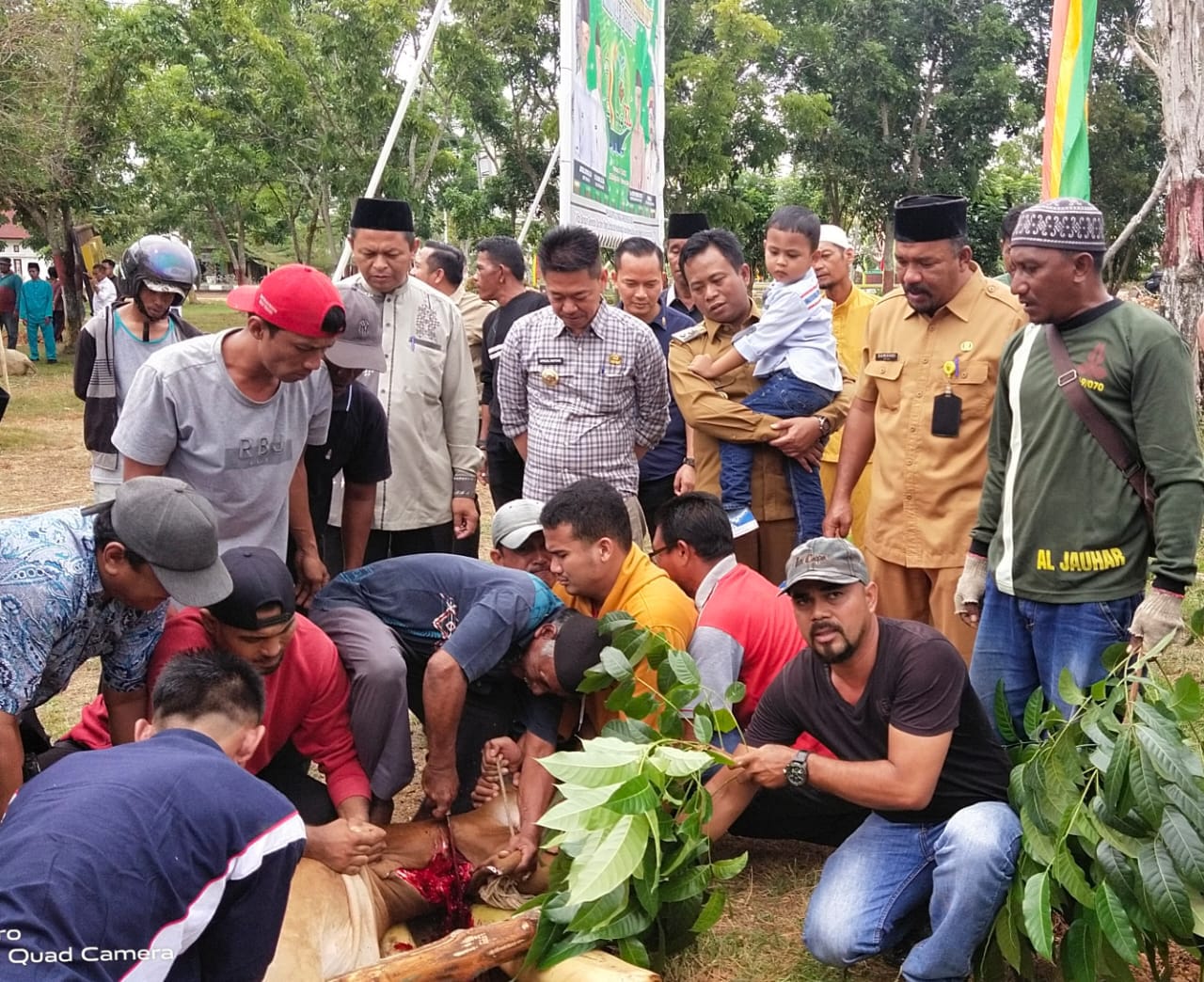 Bupati Rohil Beserta Wakil Bupati Hadiri Dan Saksikan Pemotongan 10 Ekor Hewan Qurban Di DLH. 