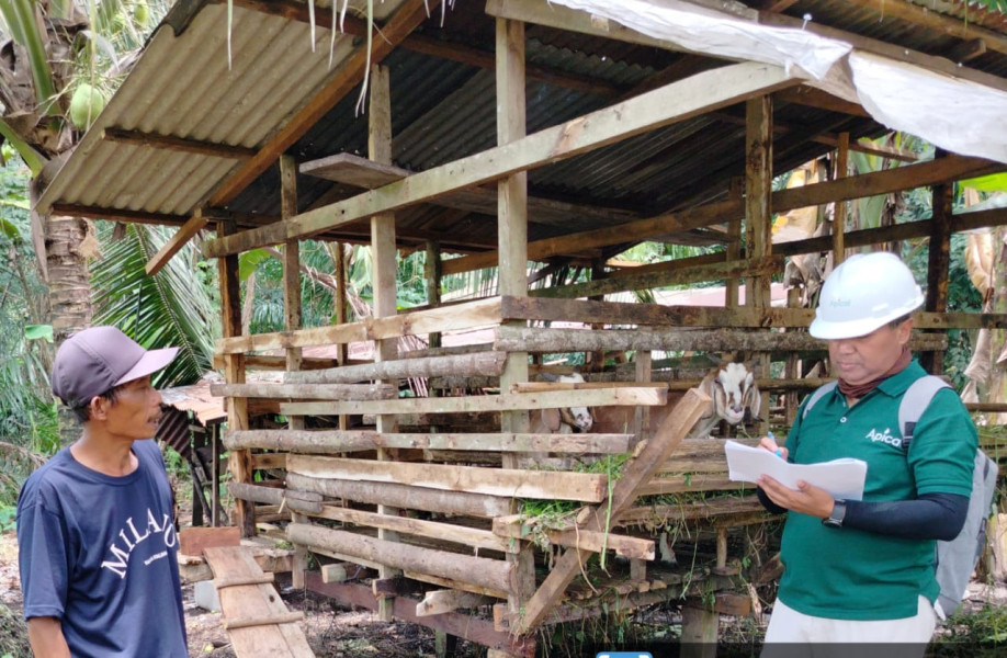 Apical Tegaskan Komitmen Pendampingan untuk Kembangkan Budidaya Ternak di Dumai