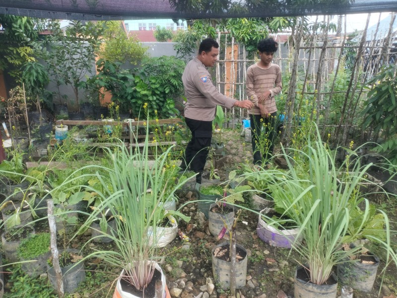 Bripka F. S. Tambunan, Melaksanakan kegiatan Pengecekan Tanaman Sawi ,Terong di Wilayah Kelurahan Dumai Kota