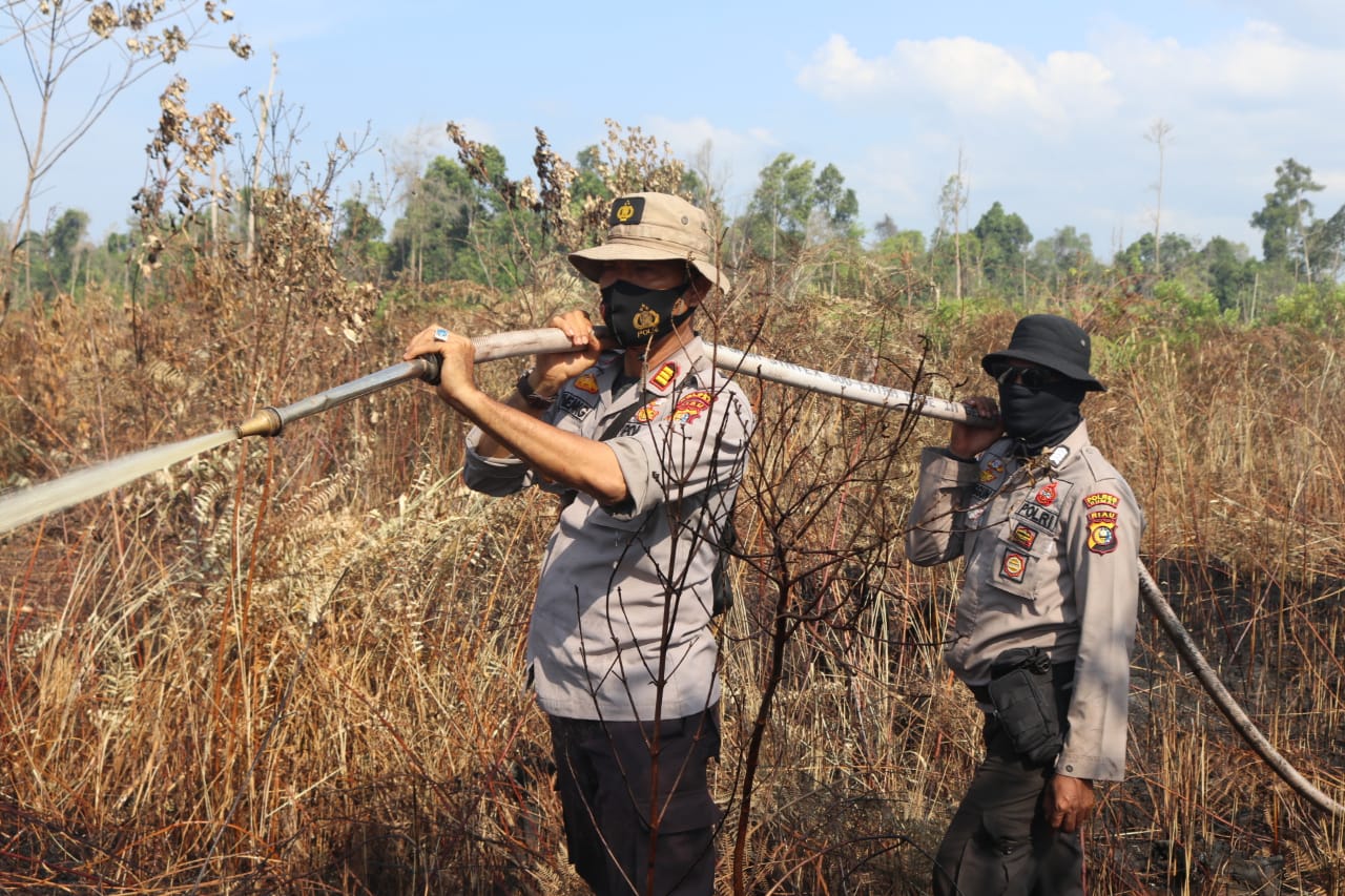 Pemadaman dan pendinginan dan lahan(Karhutla) di Jalan KUD RT 021Kelurahan Lubuk Gaung Sungai Sembilan