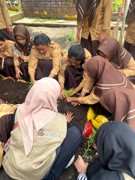 Mahasiswa KKN Kelompok 5 Universitas Abdurrab Tanam Tanaman Obat di SMA Negeri 1 Perhentian Raja