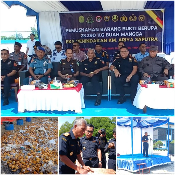 DJBC Riau bersama KPPBC Tipe Madya Pabean B Dumai musnahkan Mangga illegal