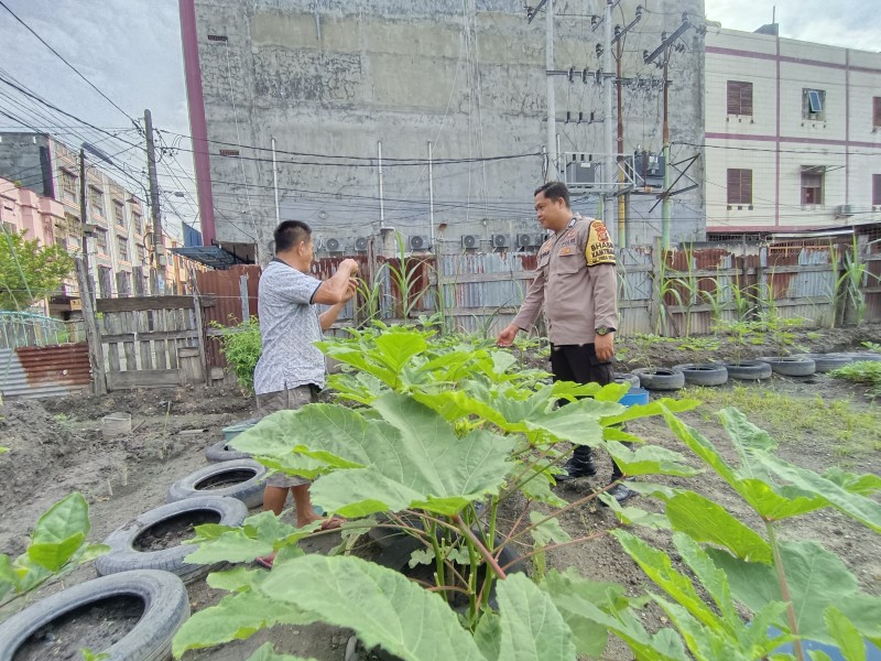 Bripka Rian Akbar  Kelurahan Rimba Sekampung Melaksanakan Kegiatan Pengecekan Ketahanan Pangan Penanaman Terong ,Kacang