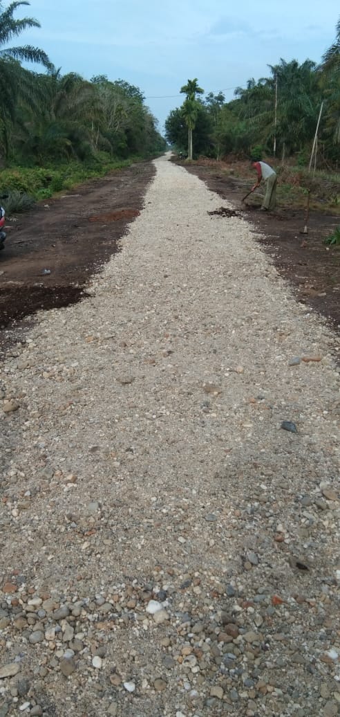 Apical Mengadakan Perawatan Jalan Suka Bumi Rt 06 Kel.Lubuk Gaung Kec.Sungai Sembilan Dumai