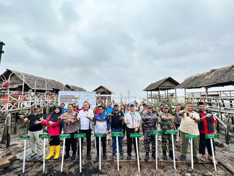 Dukung Pemerintah Percepat Target Rehabilitasi Hutan Mangrove, Apical Tanam 2.000 Mangrove di Dumai