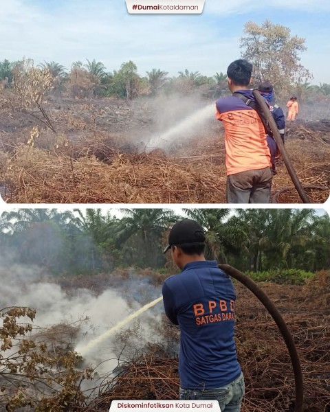 BPBD Kota Dumai Berhasil Mengendalikan dan Memadamkan Kebakaran Hutan