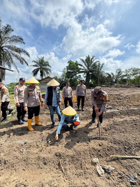 Polsek Bukit Kapur Melaksanakan Kegiatan Penanaman Jagung Pipil