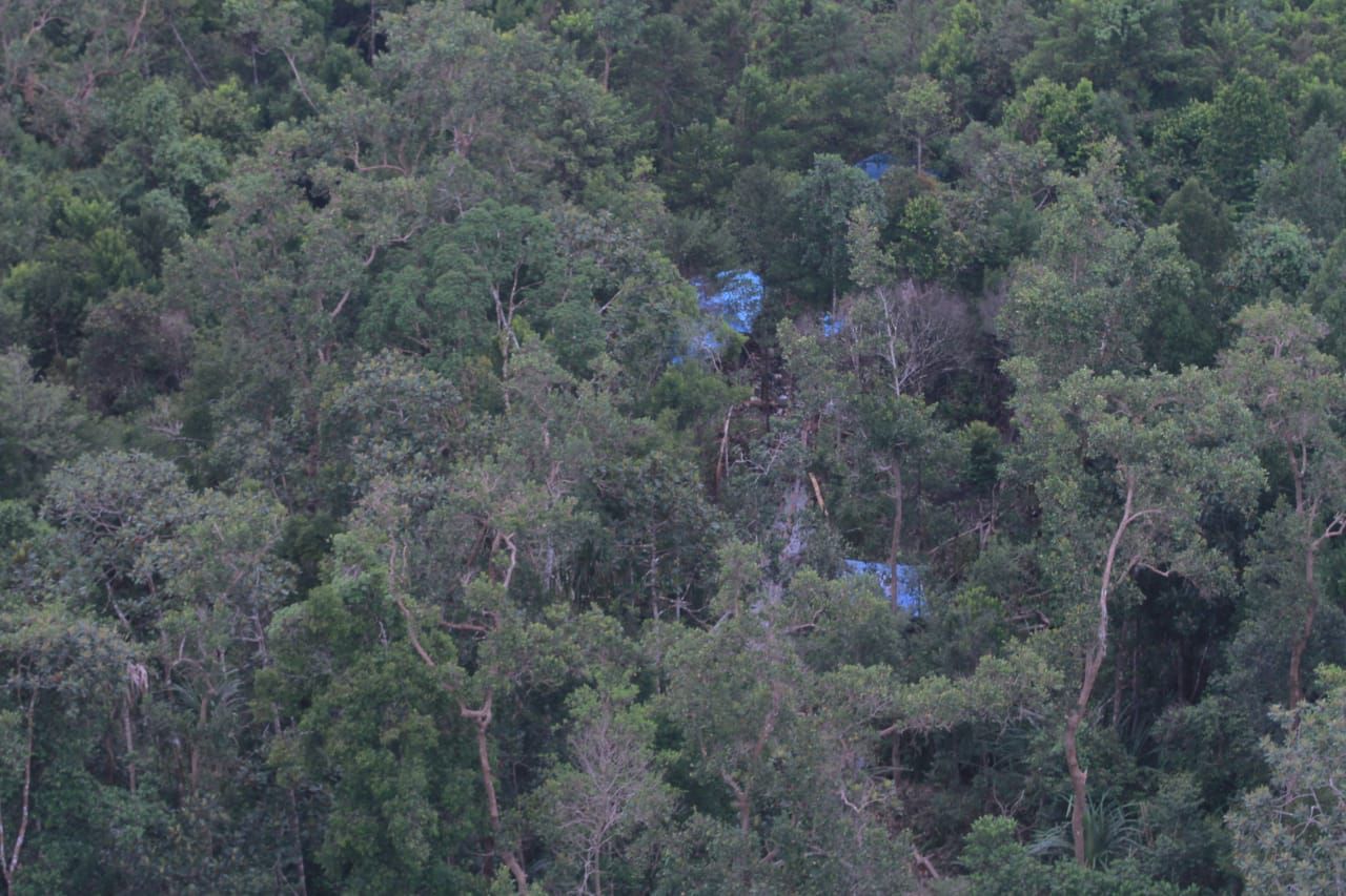 Kapolda Riau Bertekad Negara Tidak Boleh Kalah dari Kejahatan, Hutan Harus Diselamatkan.