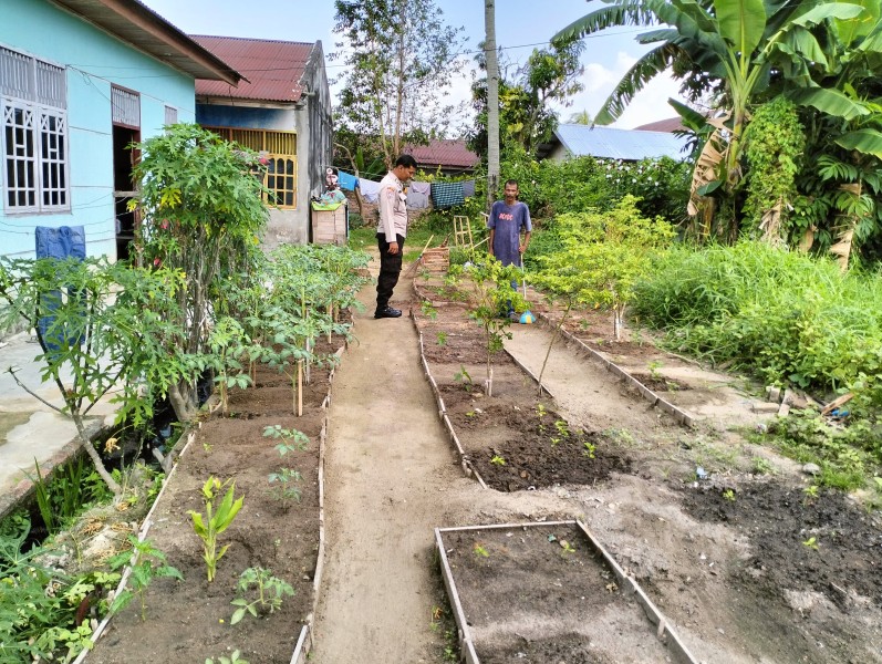 Bripka Bob Sinaga  Melaksanakan Kegiatan Pengecekan Ketahanan Pangan Dengan Memantau Penanaman Cabe Rawit