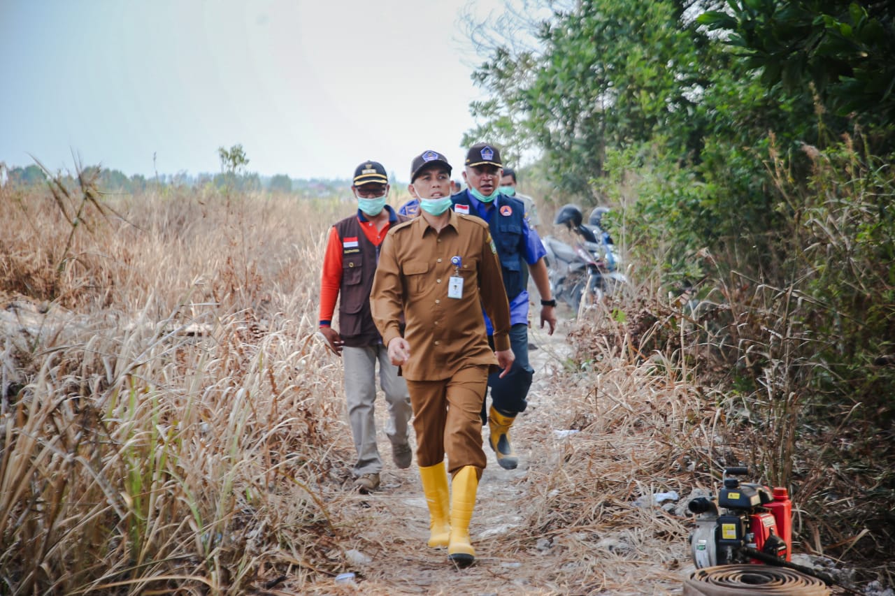 Walikota Dumai Tinjau Lokasi Karhutla di Tanjung Palas