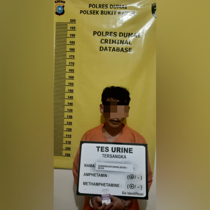 Penangkapan pelaku pencurian buah kelapa sawit di salah satu perkebunan warga